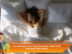 Cara Mengatur Pola Tidur Sehat agar Tubuh Pulih Maksimal Alami Setiap Hari