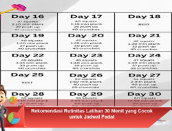 Rekomendasi Rutinitas Latihan 30 Menit yang Cocok untuk Jadwal Padat