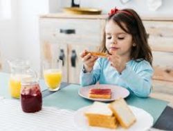 Diet Rendah Lemak Membantu Menurunkan Risiko Penyakit Jantung Dan Kolesterol Tinggi Harian